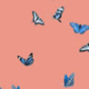 Meet your Posher, Adalea